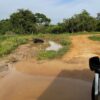 Jeep Safari im Yala Nationalpark - Entdecke die enorme Vielfalt an Wildtieren - obrazek 11