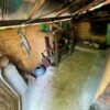 Fluss-Safari - Entdeckungsreise am Wasser – Bild 16