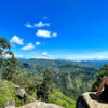 Wanderung auf den Ella Rock - Panoramablick, Flora und Fauna – Bild 8