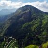 Wanderung auf den Ella Rock - Panoramablick, Flora und Fauna – Bild 14